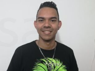 Felino