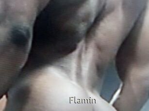 Flamin