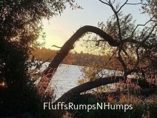 FluffsRumpsNHumps