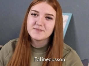 Falinecusson