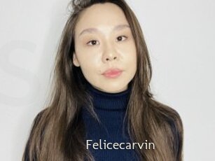 Felicecarvin