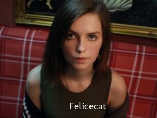 Felicecat
