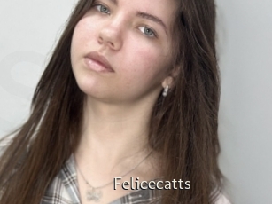 Felicecatts