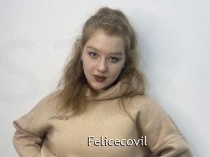 Felicecovil