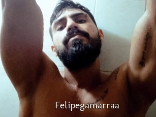 Felipegamarraa