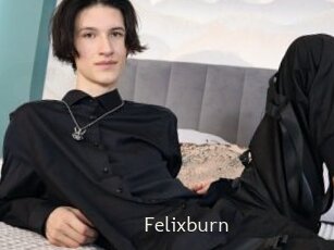 Felixburn