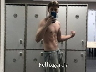 Fellixgarcia