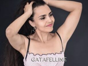 GATAFELLINE