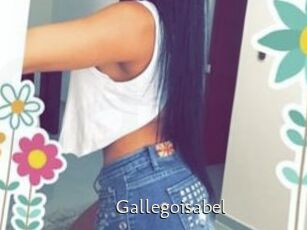 Gallegoisabel