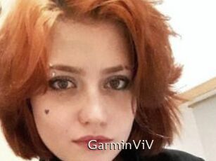 GarminViV
