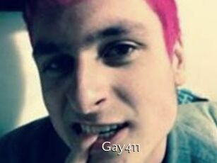 Gay411