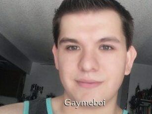 Gaymeboi
