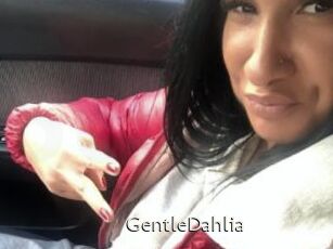 GentleDahlia
