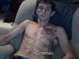 Gnomeo