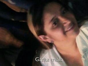 Gatita_mala