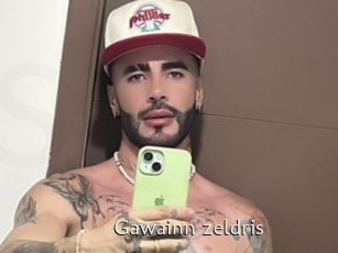 Gawainn_zeldris