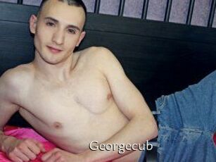 Georgecub