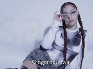 Gingerholloway