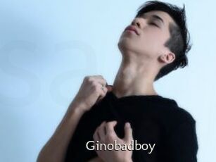Ginobadboy