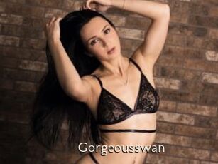 Gorgeousswan