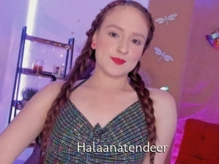 Halaanatendeer