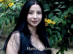 Hamnaholmes