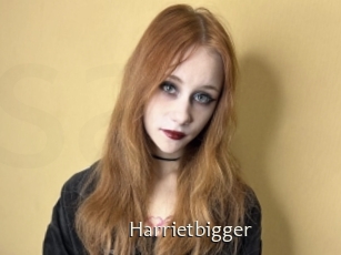 Harrietbigger