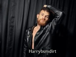 Harrybsmdirt