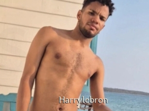 Harrylebron