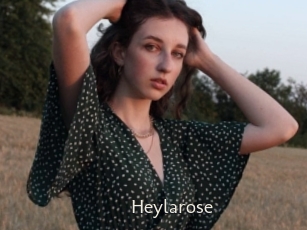 Heylarose