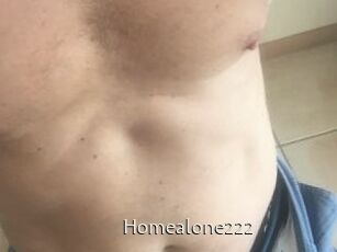 Homealone222