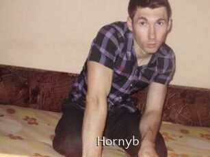 Hornyb