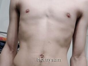 Hornysam