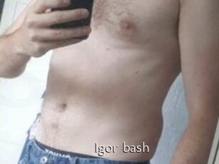 Igor_bash