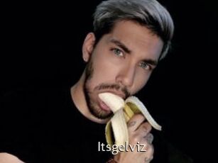 Itsgelviz