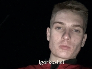 Igorkoshel