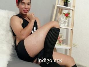 Indigo_cox