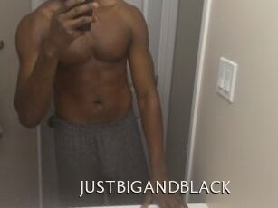 JUSTBIGANDBLACK