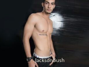 JacksonBush