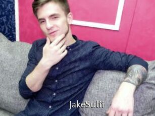 JakeSulii