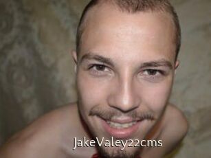 JakeValey22cms