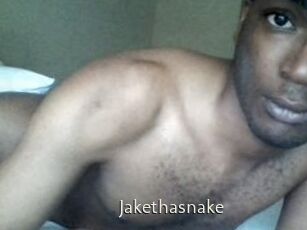 Jake_tha_snake