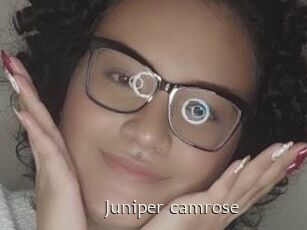 Juniper_camrose