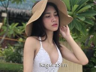 KaguraSim