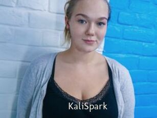 KaliSpark