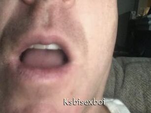Ksbisexboi