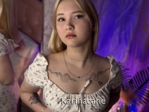 Karinacane