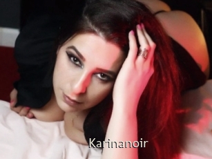 Karinanoir