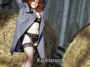 Karinarood