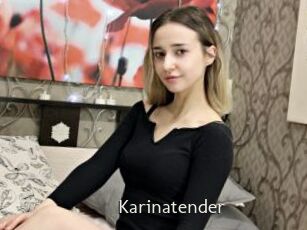 Karinatender